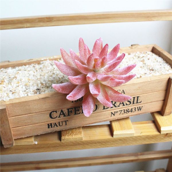 t 1pc artificial tropical grass succulents and cactus plants fake flower wedding party garden decoration pvc high-rise lotus
t 1pc artificial tropical grass succulents and cactus plants fake flower wedding party garden decoration pvc high-rise lotus