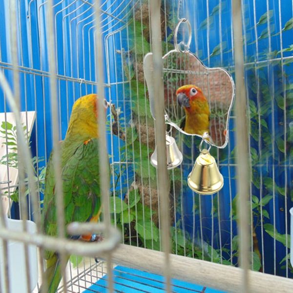parrot's toy bird mini mirror with bells bird toys ringer birds parrot chewing mirror balls(colors of the bells are random
parrot's toy bird mini mirror with bells bird toys ringer birds parrot chewing mirror balls(colors of the bells are random