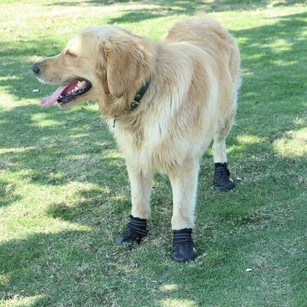 waterproof dog shoes breathable paws protector anti-skid dog boots with reflective strap pet winter warm snow boots for small, m
waterproof dog shoes breathable paws protector anti-skid dog boots with reflective strap pet winter warm snow boots for small, m