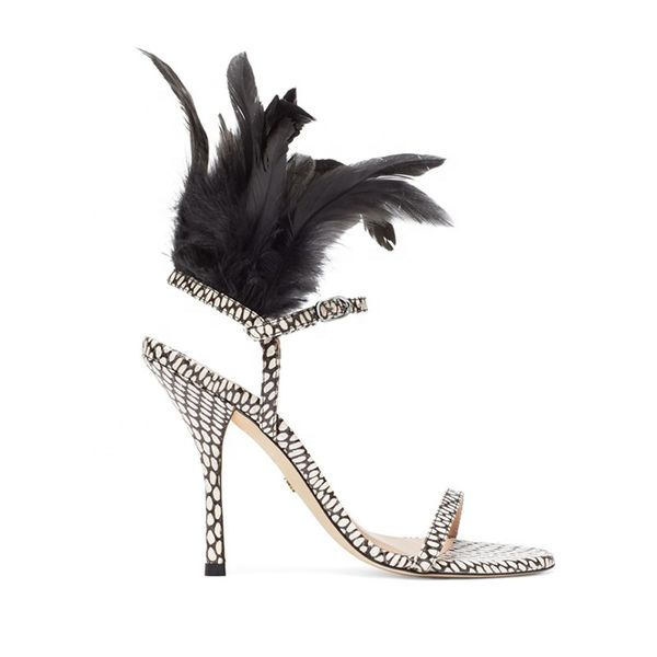 new arrival feather ankle women sandals lace up stiletto high heels ladies sandals womens shoes, Black
new arrival feather ankle women sandals lace up stiletto high heels ladies sandals womens shoes, Black