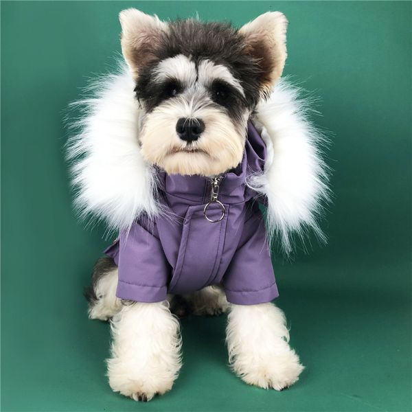 quality velvet down jacket winter cashmere coat for pet dog cat teddy puppy bulldog winter warm coats
quality velvet down jacket winter cashmere coat for pet dog cat teddy puppy bulldog winter warm coats