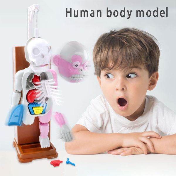 novelty horror mannequins assembled halloween spoof board games gifts children's toys desktoys
novelty horror mannequins assembled halloween spoof board games gifts children's toys desktoys