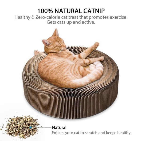 портативный cat scratcher lounge складная картонная scratcher игрушка cat царапающих pad кошки turbo игрушки другие товары cat
портативный cat scratcher lounge складная картонная scratcher игрушка cat царапающих pad кошки turbo игрушки другие товары cat