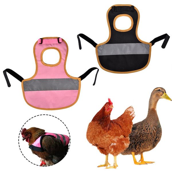 домашние животные vestpoultry одежда hen седло фартук защита пера держатель ферма поставки куриного утки
домашние животные vestpoultry одежда hen седло фартук защита пера держатель ферма поставки куриного утки