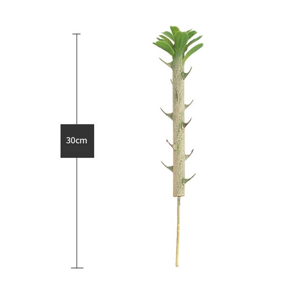искусственный суккуленты завод сад миниатюрный поддельный cactus diy home цветочный декор
искусственный суккуленты завод сад миниатюрный поддельный cactus diy home цветочный декор