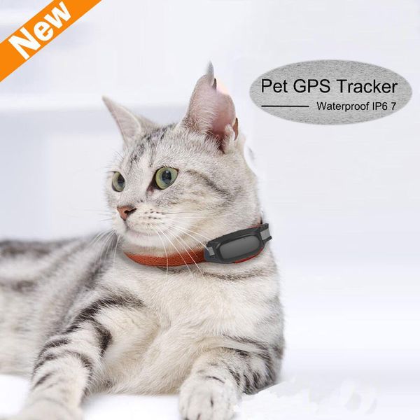 water-resistant dog cat animal collar andriod app for mobile device gps sim card pet tracker locator
water-resistant dog cat animal collar andriod app for mobile device gps sim card pet tracker locator