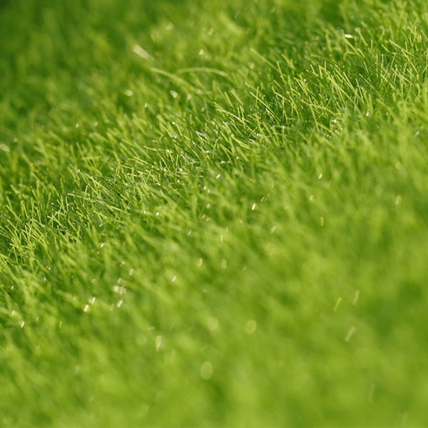 new arrival simulated garden grass lawn moss miniature craft pot novelty home garden fairy dollhouse decor
new arrival simulated garden grass lawn moss miniature craft pot novelty home garden fairy dollhouse decor