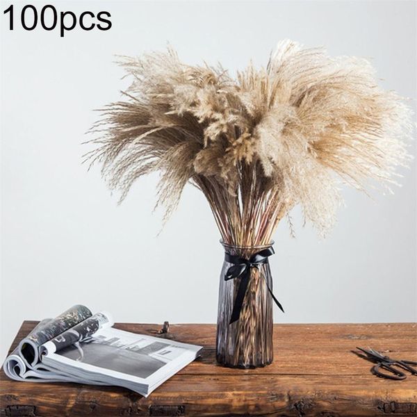 00 pcs wedding pampas grass flower bunch natural dried flower reed pampas grass raw color home decor
00 pcs wedding pampas grass flower bunch natural dried flower reed pampas grass raw color home decor