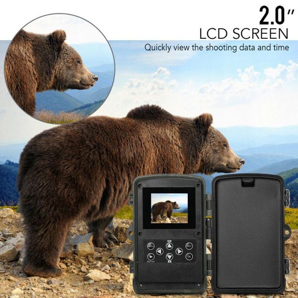 0.3s trigger time wild camera hc801a 5000mah li-battery 1080p hunting camera 16mp trail ip65 p traps
0.3s trigger time wild camera hc801a 5000mah li-battery 1080p hunting camera 16mp trail ip65 p traps