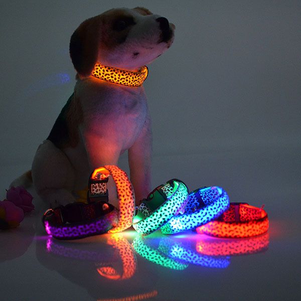 led leopard spots luminous led fluorescent dog collar pet supplies anti-lost size s-xl
led leopard spots luminous led fluorescent dog collar pet supplies anti-lost size s-xl