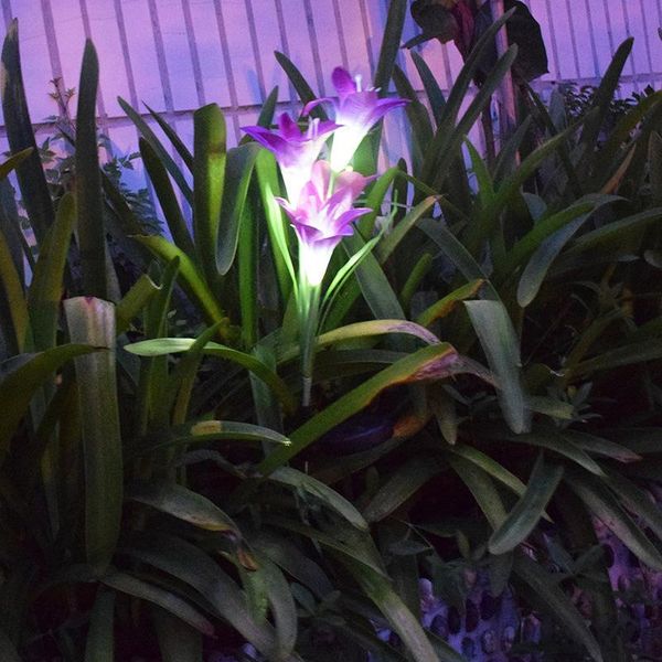 4 lily lanterns outdoor rainproof garden ground insert lawn simulation lantern landscape decoration lights random delivery 10037
4 lily lanterns outdoor rainproof garden ground insert lawn simulation lantern landscape decoration lights random delivery 10037