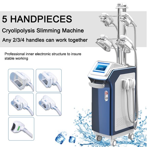trade assurance cryolipolysis body slimming machine fat e cryo lipo cryotherapy non invasive vacuum machine cryolipolysis
trade assurance cryolipolysis body slimming machine fat e cryo lipo cryotherapy non invasive vacuum machine cryolipolysis