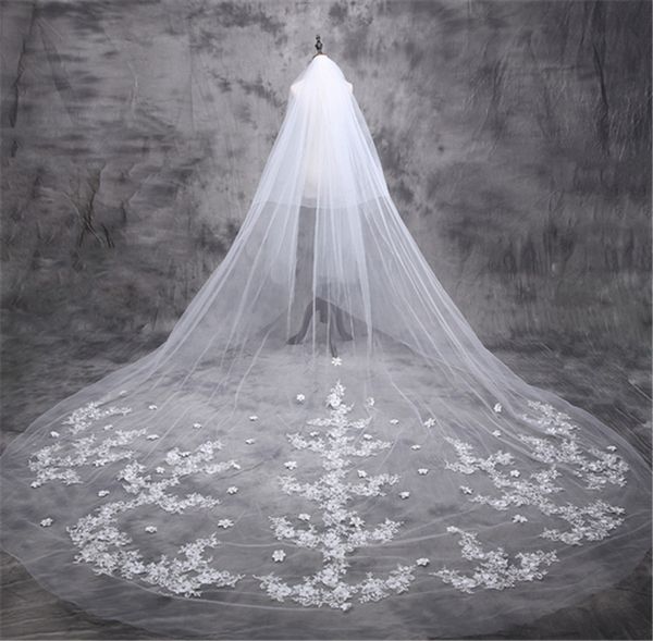 2019 princess ladies long cathedral bridal veil lace appliques 3m 5m long bridal wedding accessories with 3d flowers adorned, Black
2019 princess ladies long cathedral bridal veil lace appliques 3m 5m long bridal wedding accessories with 3d flowers adorned, Black