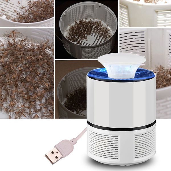electronic mosquito killer lamp led bug zapper bug insect catcher usb power garden bedroom mosquito trap lamp with suction fan
electronic mosquito killer lamp led bug zapper bug insect catcher usb power garden bedroom mosquito trap lamp with suction fan