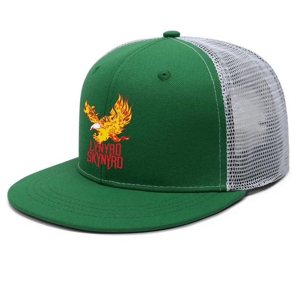 lynyrd skynyrd bird rock flat brim trucker cap designer youth baseball hats gimme back my bullets last of a dyin'breed made, Blue;gray
lynyrd skynyrd bird rock flat brim trucker cap designer youth baseball hats gimme back my bullets last of a dyin'breed made, Blue;gray