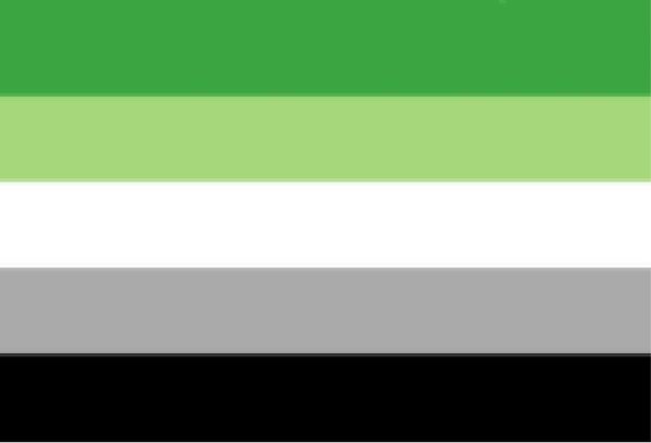 factory direct 100% polyester 90*150cm 3x5 fts lgbtqia aromantic pride romantic orientation flag for decoration
factory direct 100% polyester 90*150cm 3x5 fts lgbtqia aromantic pride romantic orientation flag for decoration