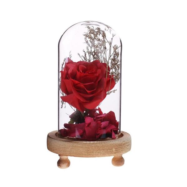 valentine's day gifts artificial rose led light glass dome wooden base night lamp deskdecoration wedding supplies
valentine's day gifts artificial rose led light glass dome wooden base night lamp deskdecoration wedding supplies