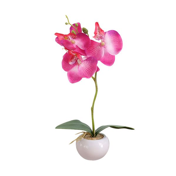 fake plant plastic diy fashion artificial flower simulation flower moth orchid garden ornament handmade household home decor
fake plant plastic diy fashion artificial flower simulation flower moth orchid garden ornament handmade household home decor