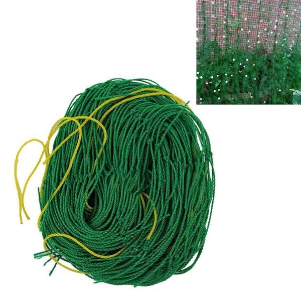 trellis plants climbing fruit net climbing tree protect anti pest plant park garden frame net plant trellis netting green
trellis plants climbing fruit net climbing tree protect anti pest plant park garden frame net plant trellis netting green
