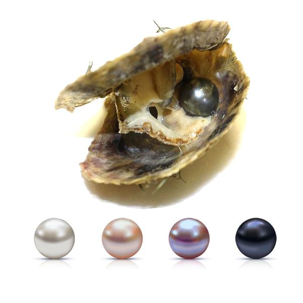 dmkb0066 6-7/7-8mm round pearls vacuum-packed akoya oyster white pink lavender black saltwater pearl mussel surprise gift
dmkb0066 6-7/7-8mm round pearls vacuum-packed akoya oyster white pink lavender black saltwater pearl mussel surprise gift