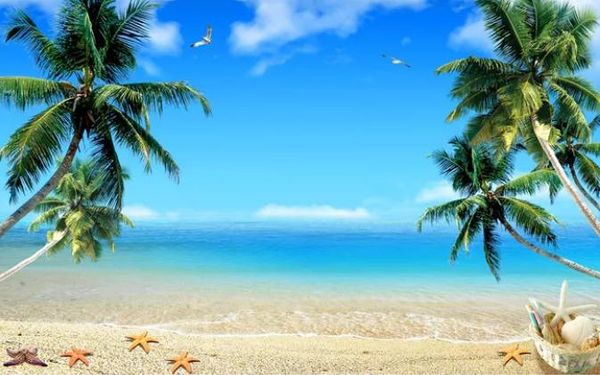 пользовательские 3d фрески обои гостиная спальня диван телевизор фон обои оригинал кокосовая пальма море viewphoto водонепроницаемый обои
пользовательские 3d фрески обои гостиная спальня диван телевизор фон обои оригинал кокосовая пальма море viewphoto водонепроницаемый обои