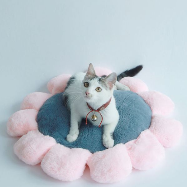 fleece soft flower pet mat cushion cotton dog cat beds for small large dogs sofa protector four seasons breathable pet supplies
fleece soft flower pet mat cushion cotton dog cat beds for small large dogs sofa protector four seasons breathable pet supplies