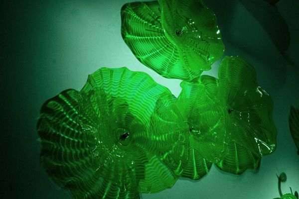 flower lighting modern dinning room murano glass wall lamps green holiday party wall plates art decoration
flower lighting modern dinning room murano glass wall lamps green holiday party wall plates art decoration