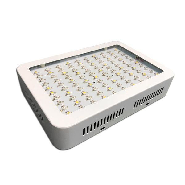 1000w led grow light recommeded high cost-effective double chips full spectrum led grow lights for hydroponic systems
1000w led grow light recommeded high cost-effective double chips full spectrum led grow lights for hydroponic systems