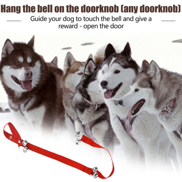 творческий pet training дверной rope pet дверной rope dog дверной собаки out звоночек зоотоваров
творческий pet training дверной rope pet дверной rope dog дверной собаки out звоночек зоотоваров