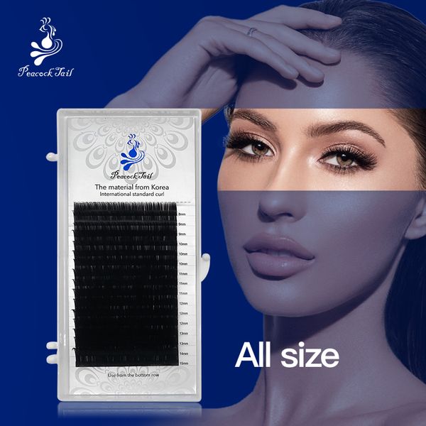 16rows professional application eyelash extensions matte black natural eyelashes extension complete individual mix peacock tail
16rows professional application eyelash extensions matte black natural eyelashes extension complete individual mix peacock tail