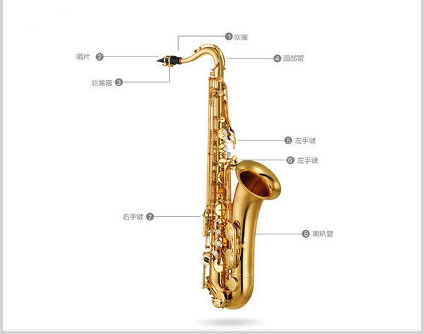 Japan profe ional axophone 280 bb electrophore i gold key bra ax tenor axofone mu ical in trument mouthpiece hard box hipping
Japan profe ional axophone 280 bb electrophore i gold key bra ax tenor axofone mu ical in trument mouthpiece hard box hipping