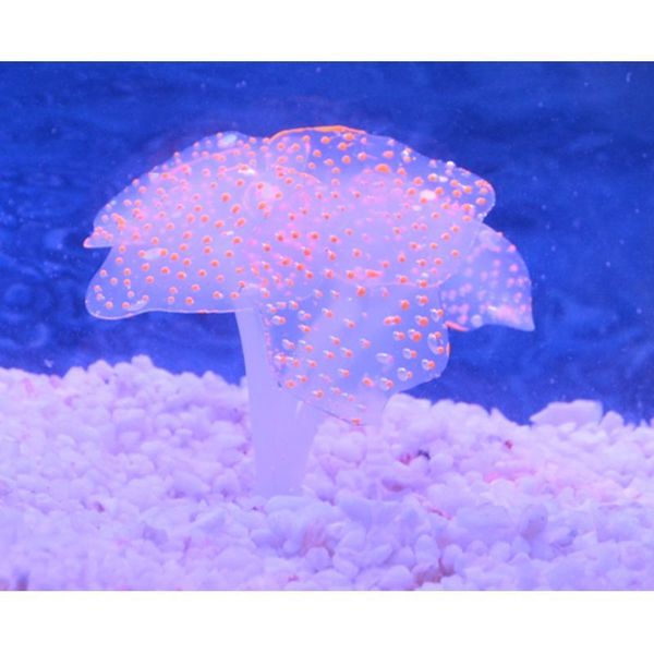 sucker coral aquarium artificial coral silicone plant with sucker ornament water landscape decor fish tank aquarium accessories
sucker coral aquarium artificial coral silicone plant with sucker ornament water landscape decor fish tank aquarium accessories
