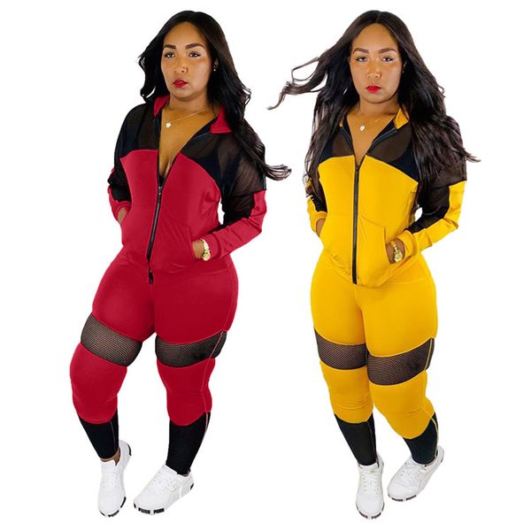 customized vintage women sets two piece set long sleeve hooded mesh spliced suits sportswear outfit outwear, White
customized vintage women sets two piece set long sleeve hooded mesh spliced suits sportswear outfit outwear, White