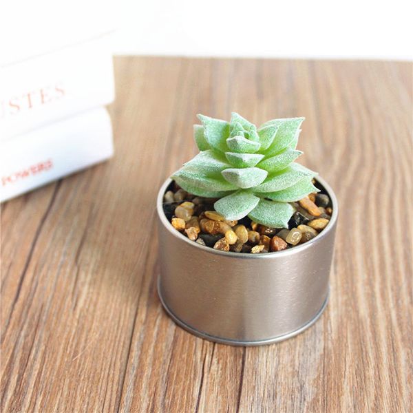 simulated potted plants bonsai plastic creative decor portable fake table decor office artificial flower
simulated potted plants bonsai plastic creative decor portable fake table decor office artificial flower