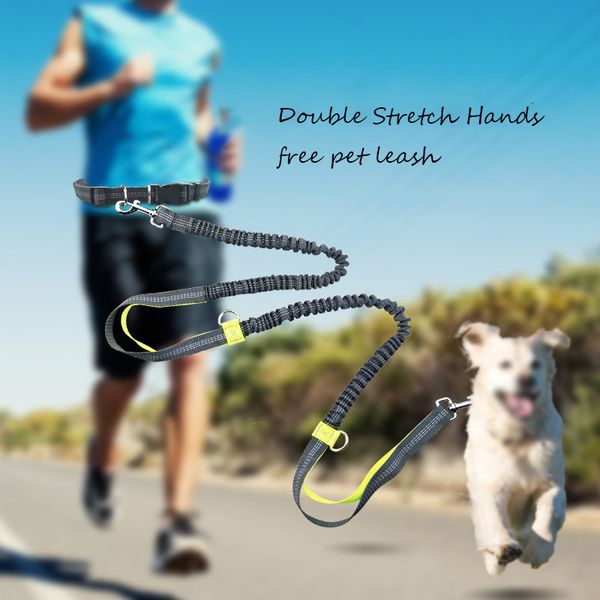 dog leash nylon hands pet elastic belt running leashes medium dogs reflective running leash walking pet accessories
dog leash nylon hands pet elastic belt running leashes medium dogs reflective running leash walking pet accessories