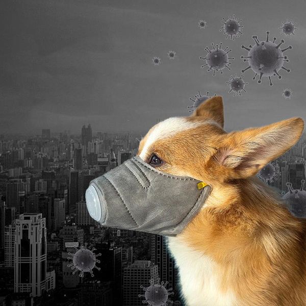 dog soft face cotton mouth mask pet respiratory pm2.5 filter anti dust gas pollution muzzle anti-fog haze masks for dogs
dog soft face cotton mouth mask pet respiratory pm2.5 filter anti dust gas pollution muzzle anti-fog haze masks for dogs