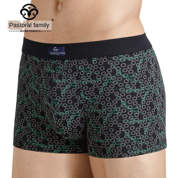2lcas zhongshan herdsman aristocratic elastic cotton underpants and family men's underwear elastic cotton comfortable printing boxer un, Black;white
2lcas zhongshan herdsman aristocratic elastic cotton underpants and family men's underwear elastic cotton comfortable printing boxer un, Black;white