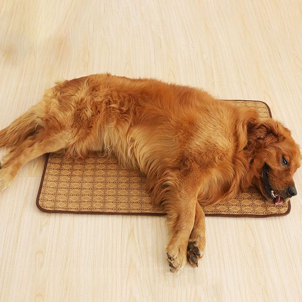 double-sided pet mat cartoon floral summer cooling warm mat antibacterial anti-mite pad dog cat bed cushion four seasons kennels pens
double-sided pet mat cartoon floral summer cooling warm mat antibacterial anti-mite pad dog cat bed cushion four seasons kennels pens