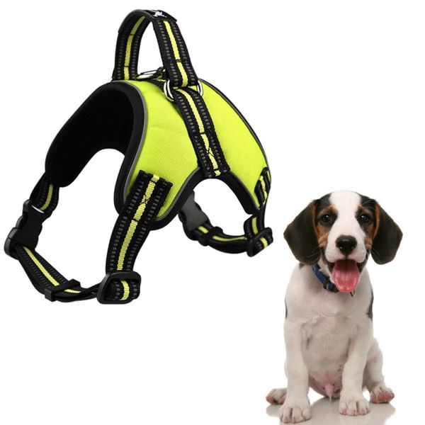 small dog harness chihuahua chest straps vest lead mesh shining large dog harnesses for puppy accessories
small dog harness chihuahua chest straps vest lead mesh shining large dog harnesses for puppy accessories