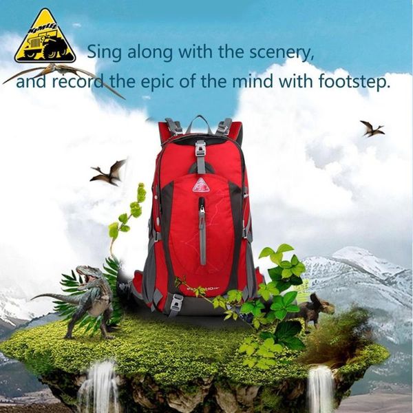 outdoor hiking/ camping/ travelling/ mountaineering backpack large-capacity 40l water repellent 3d suspension bag
outdoor hiking/ camping/ travelling/ mountaineering backpack large-capacity 40l water repellent 3d suspension bag