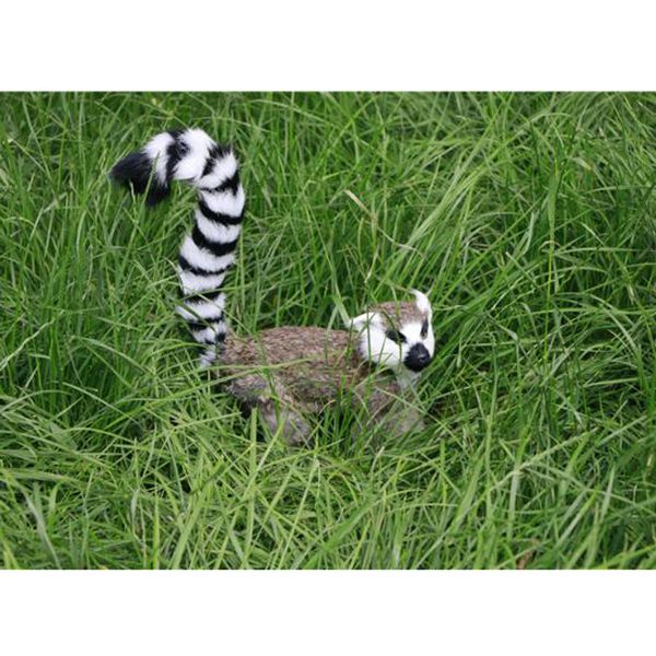 декоративные моделирование lemur модель рисунок фигурка детские игрушки украшения сада
декоративные моделирование lemur модель рисунок фигурка детские игрушки украшения сада