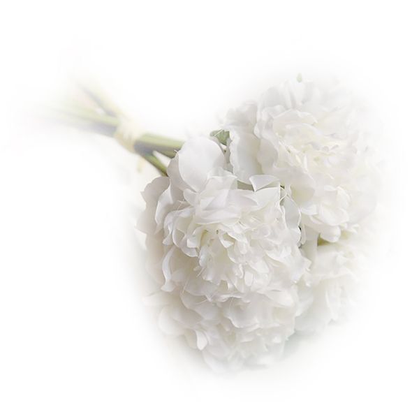 1 bunch artificial flowers beautiful cloth peony bouquet artificial plants real-touch flowers for home wedding party
1 bunch artificial flowers beautiful cloth peony bouquet artificial plants real-touch flowers for home wedding party