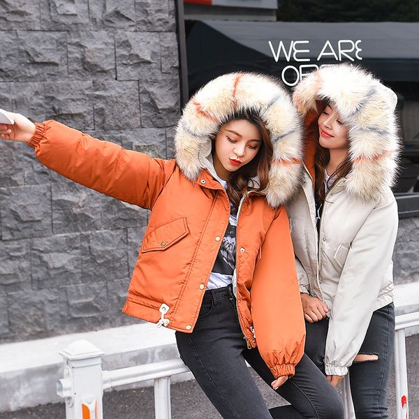 2019 new solid women's down jacket winter down short-style big collar thicken coat casual warm parka snow outwear for woman, Black
2019 new solid women's down jacket winter down short-style big collar thicken coat casual warm parka snow outwear for woman, Black