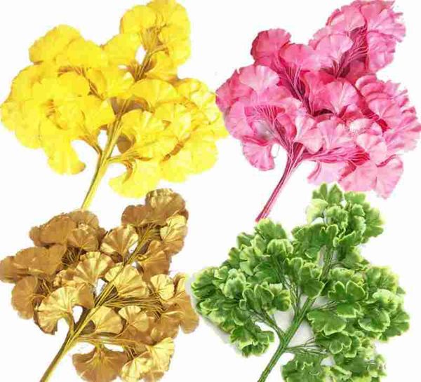 60cm ginkgo biloba leaf five branches maidenhair trees leaves artificial tree silk branch stem wedding garden decoration
60cm ginkgo biloba leaf five branches maidenhair trees leaves artificial tree silk branch stem wedding garden decoration