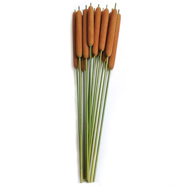 5pcs dried natural spike of cattail real reed mace flowers bouquets wedding bridal decorative flower home decoration
5pcs dried natural spike of cattail real reed mace flowers bouquets wedding bridal decorative flower home decoration