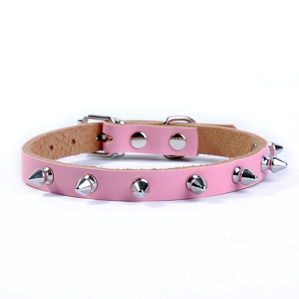 шипованная собака harness ошейники для собак pitbulls нервного harness egg желтого kaulapanta gold spike собака harness ошейник bdegarden go
шипованная собака harness ошейники для собак pitbulls нервного harness egg желтого kaulapanta gold spike собака harness ошейник bdegarden go