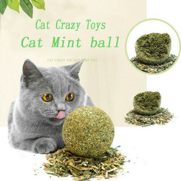 pet catnip toys edible catnip ball safety healthy cat mint cats home chasing game toy products clean teeth protect the stomach
pet catnip toys edible catnip ball safety healthy cat mint cats home chasing game toy products clean teeth protect the stomach