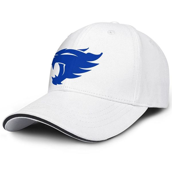 kentucky wildcats basketball logo fashion baseball sandwich hat custom truck driver cap round logo core smoke black usa flag, Blue;gray
kentucky wildcats basketball logo fashion baseball sandwich hat custom truck driver cap round logo core smoke black usa flag, Blue;gray