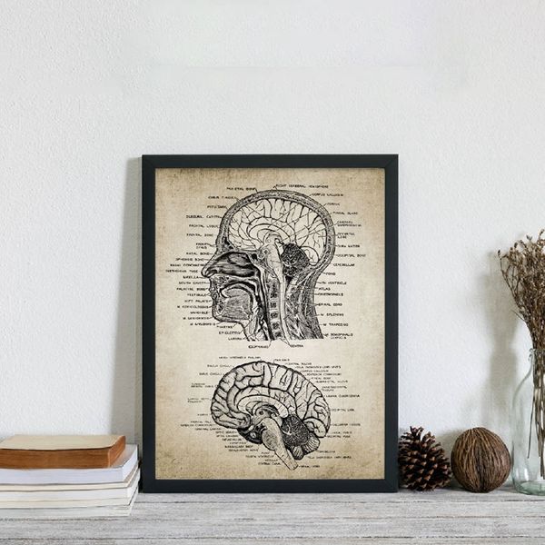 урожай человеческой головы и мозга анатомия холст art prints плакат neuroscience анатомия живопись врачи бюро wall art decor
урожай человеческой головы и мозга анатомия холст art prints плакат neuroscience анатомия живопись врачи бюро wall art decor
