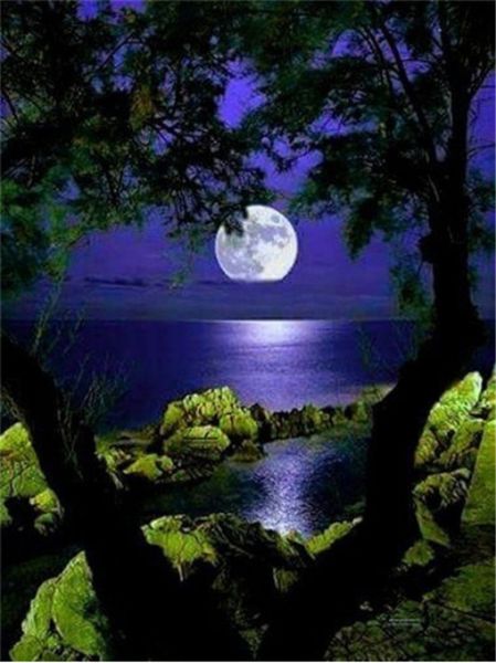 5d diamond embroidery scenery lake night diy diamond painting cross stitch kit resin full round&square diamond mosaic home decor gift bb0783
5d diamond embroidery scenery lake night diy diamond painting cross stitch kit resin full round&square diamond mosaic home decor gift bb0783